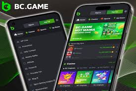 Exceptional Service The BC.Game Customer Support Team